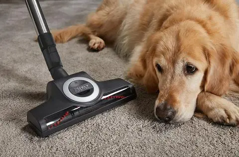 Blizzard CX1 Cat&Dog Mango Kırmızı - Toz Torbasız Süpürge