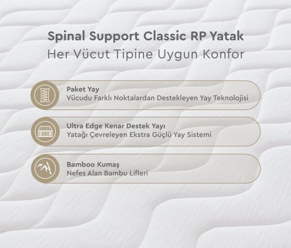 Spinal Support Classic